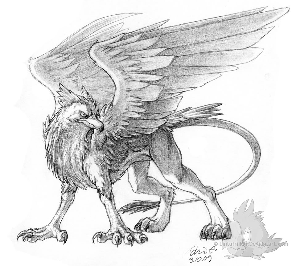 griffon 4